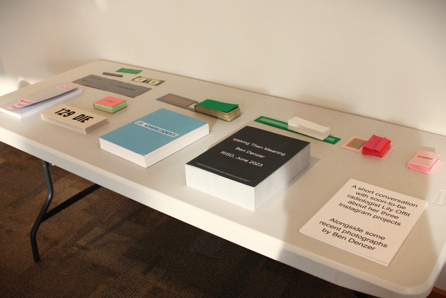 Artist books by Denzer 
