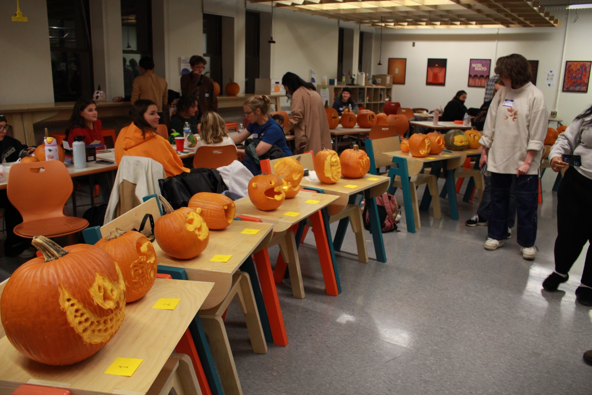pumpkins laid out for the competition