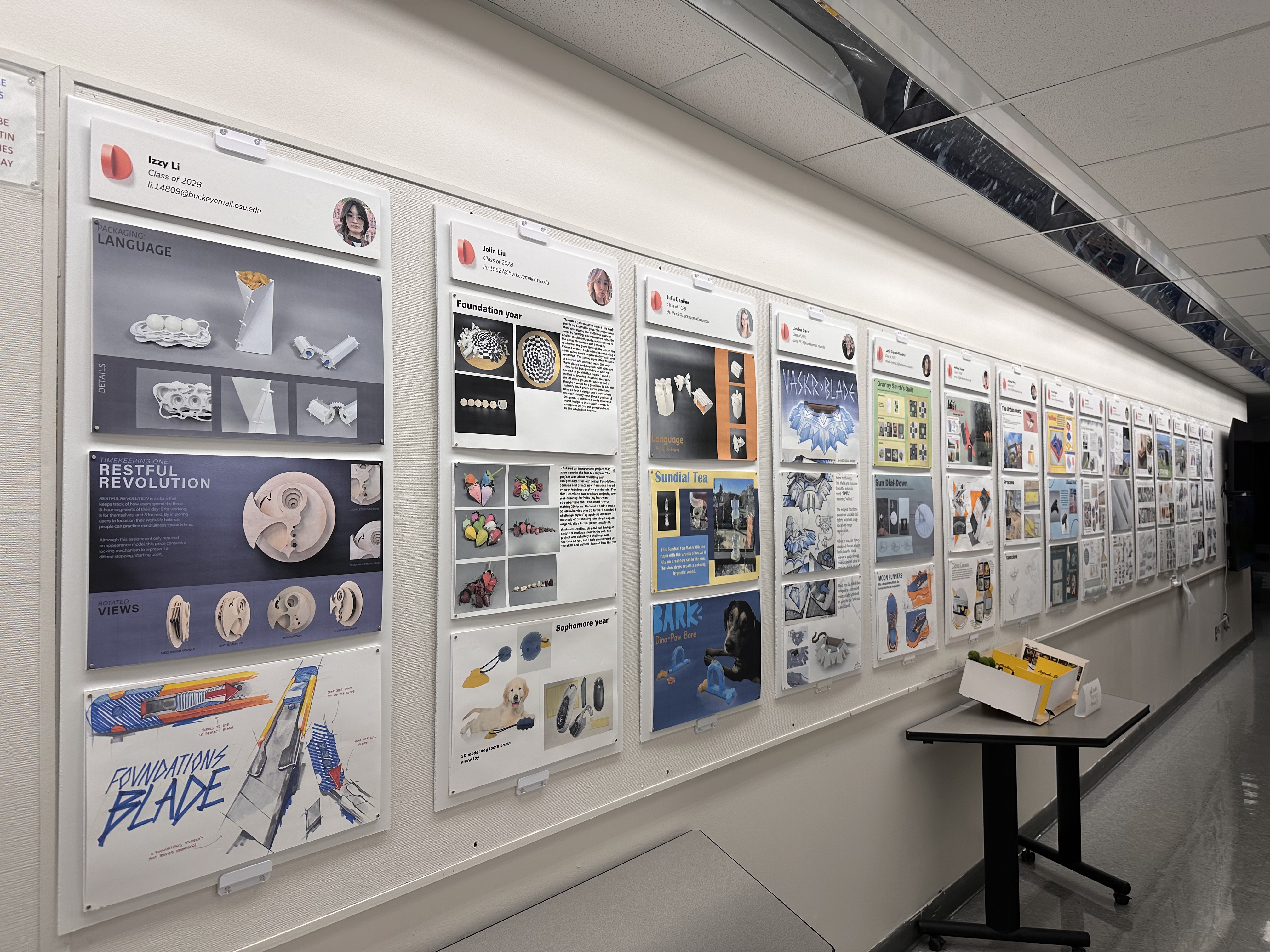 student design pin-ups