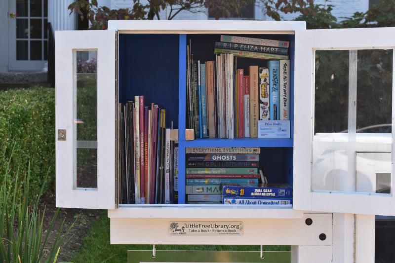 little free library interior stocked with books 