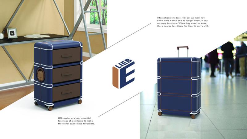 Chenyan Li project image 3