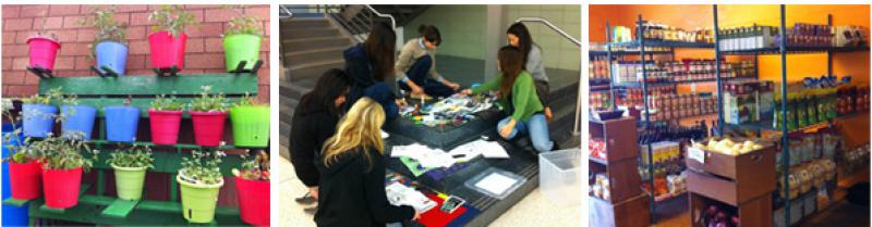 Potted plants, students engaged in group activity, and store shelves with products on them