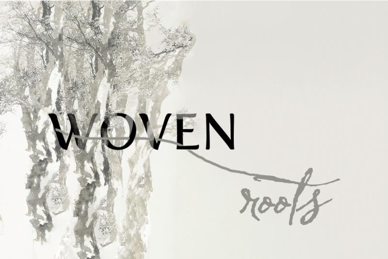 Averi Wolf project banner