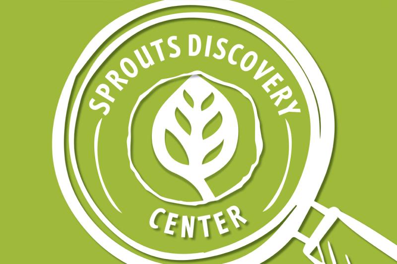 Brooke Koch project banner