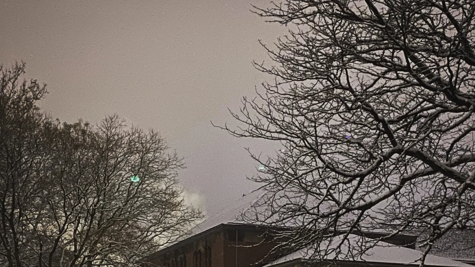 Hayes in winter