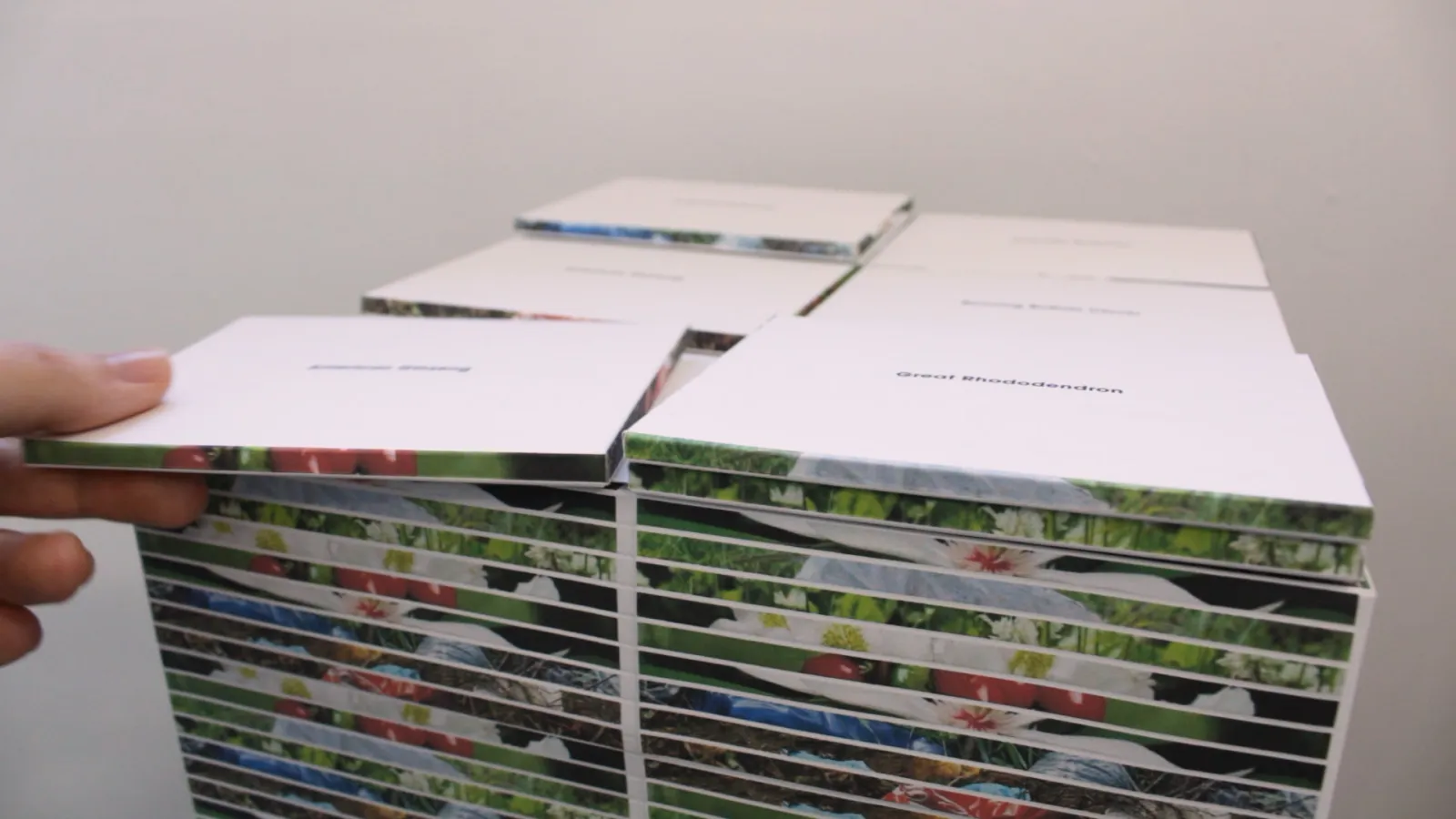 A roughly 12x12” stack of booklets, with a hand reaching into the frame, taking one of the booklets from the top of the stack.