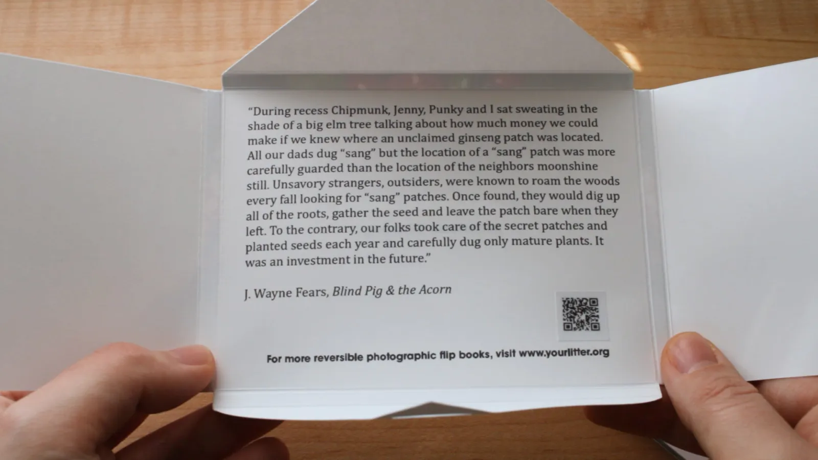 An envelope with the following text printed inside: “During recess Chipmunk, Jenny, Punky and I sat sweating in the shade of a big elm tree talking about how much money we could make if we knew where an unclaimed ginseng patch was located. All our dads dug “sang” but the location of a “sang” patch was more carefully guarded than the location of the neighbor's moonshine still. Unsavory strangers, outsiders, were known to roam the woods every fall looking for “sang” patches. Once found, they would dig up a