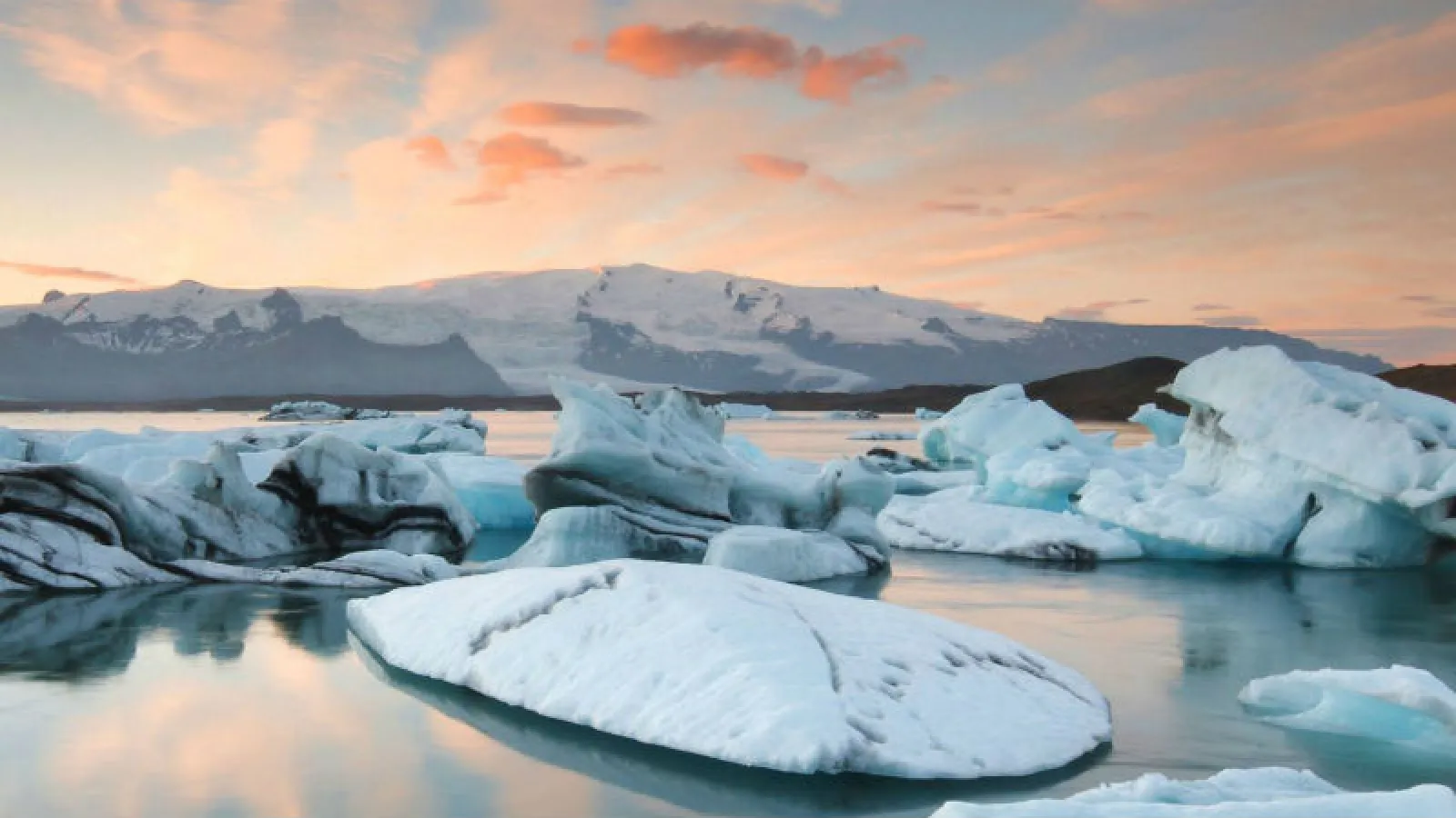 Icebergs in Sunset