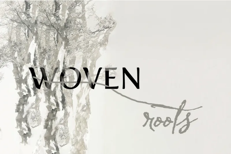 Averi Wolf project banner