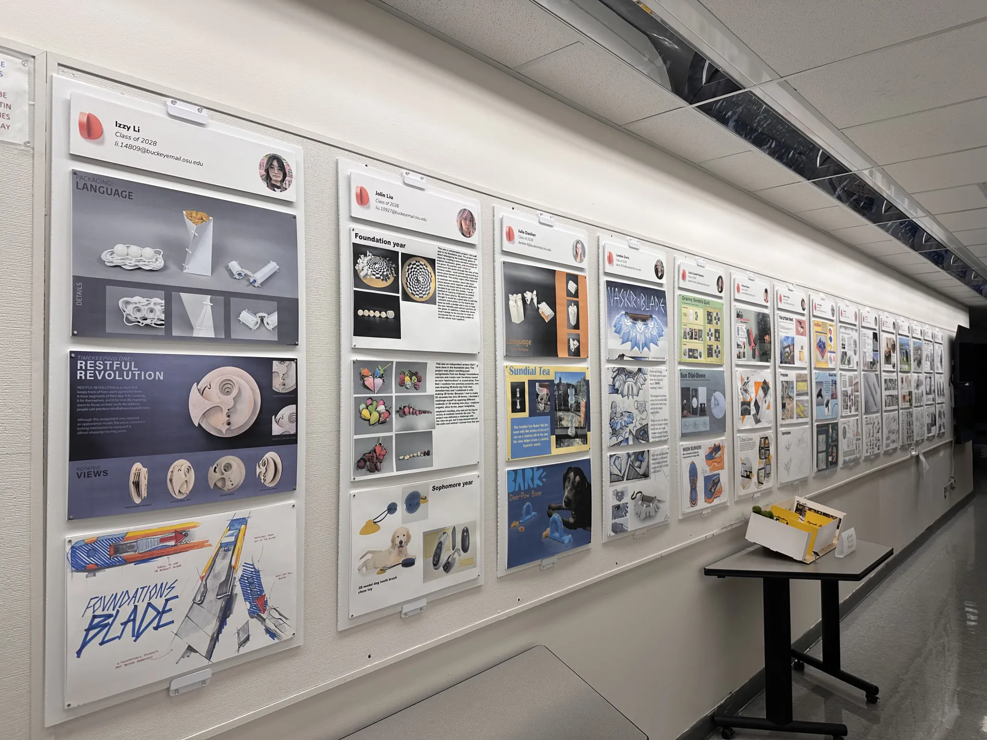 student design pin-ups