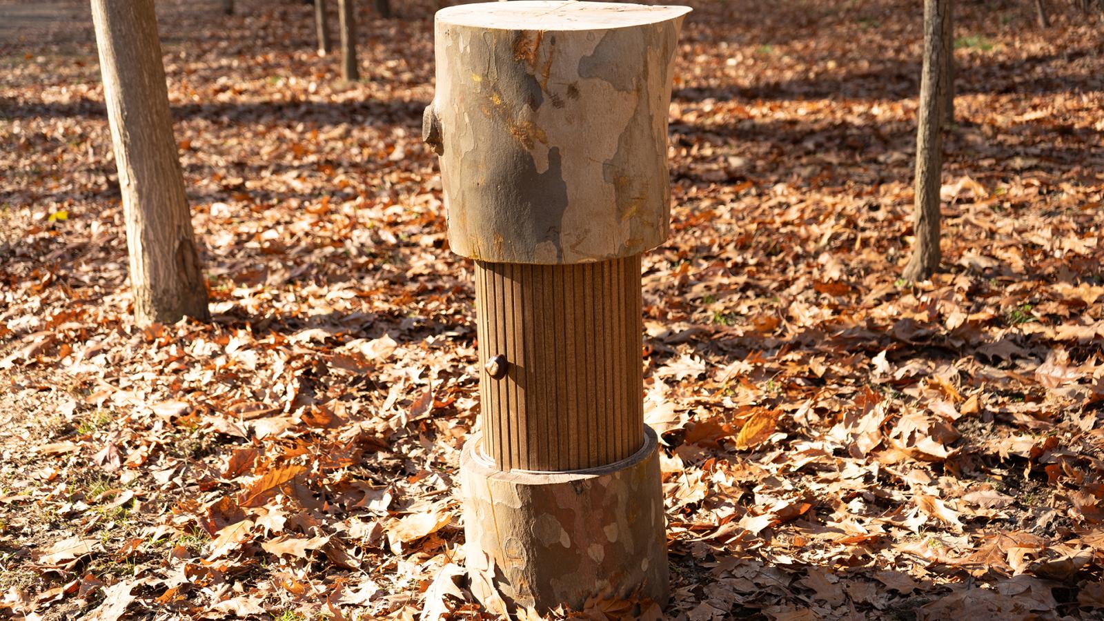 A wooden, tree-stump-inspired structure stands in a forested area covered with fallen autumn leaves. The structure resembles a log with bark-like patterns on the top and bottom sections and a cylindrical tambour-door middle section with a small, protruding buckeye knob. Sunlight filters through the trees, casting long shadows across the ground.