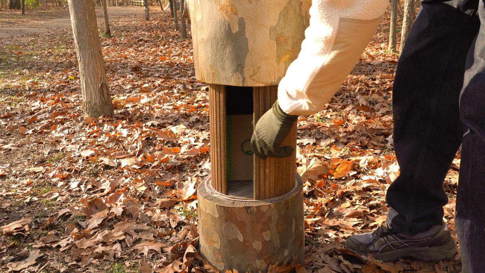 A person pulls open the tambour door on the tree-stump-inspired structure. The middle section is partially open, revealing a hidden compartment inside. The person stands on fallen autumn leaves, with trees and a forested path in the background.