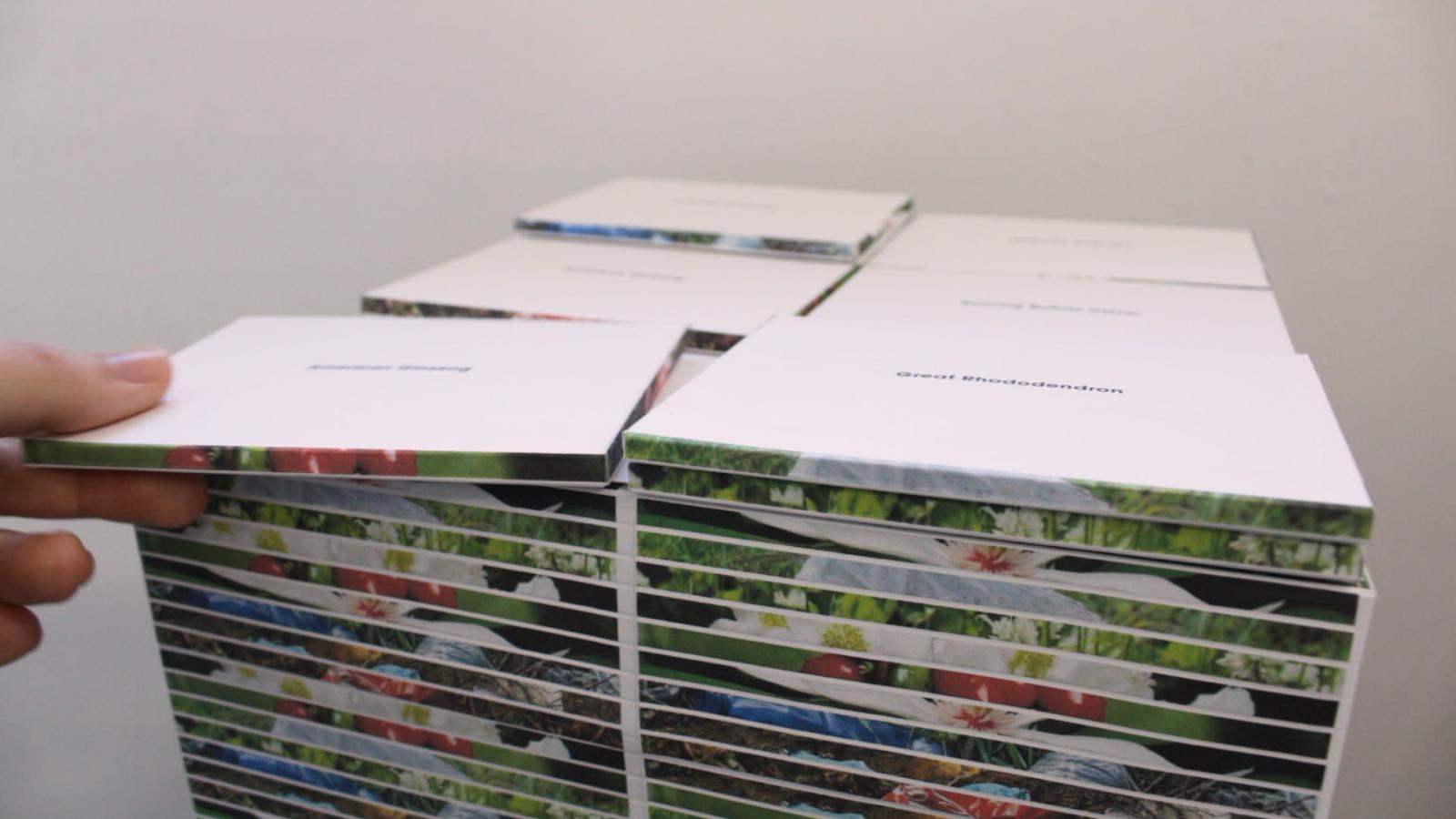 A roughly 12x12” stack of booklets, with a hand reaching into the frame, taking one of the booklets from the top of the stack.
