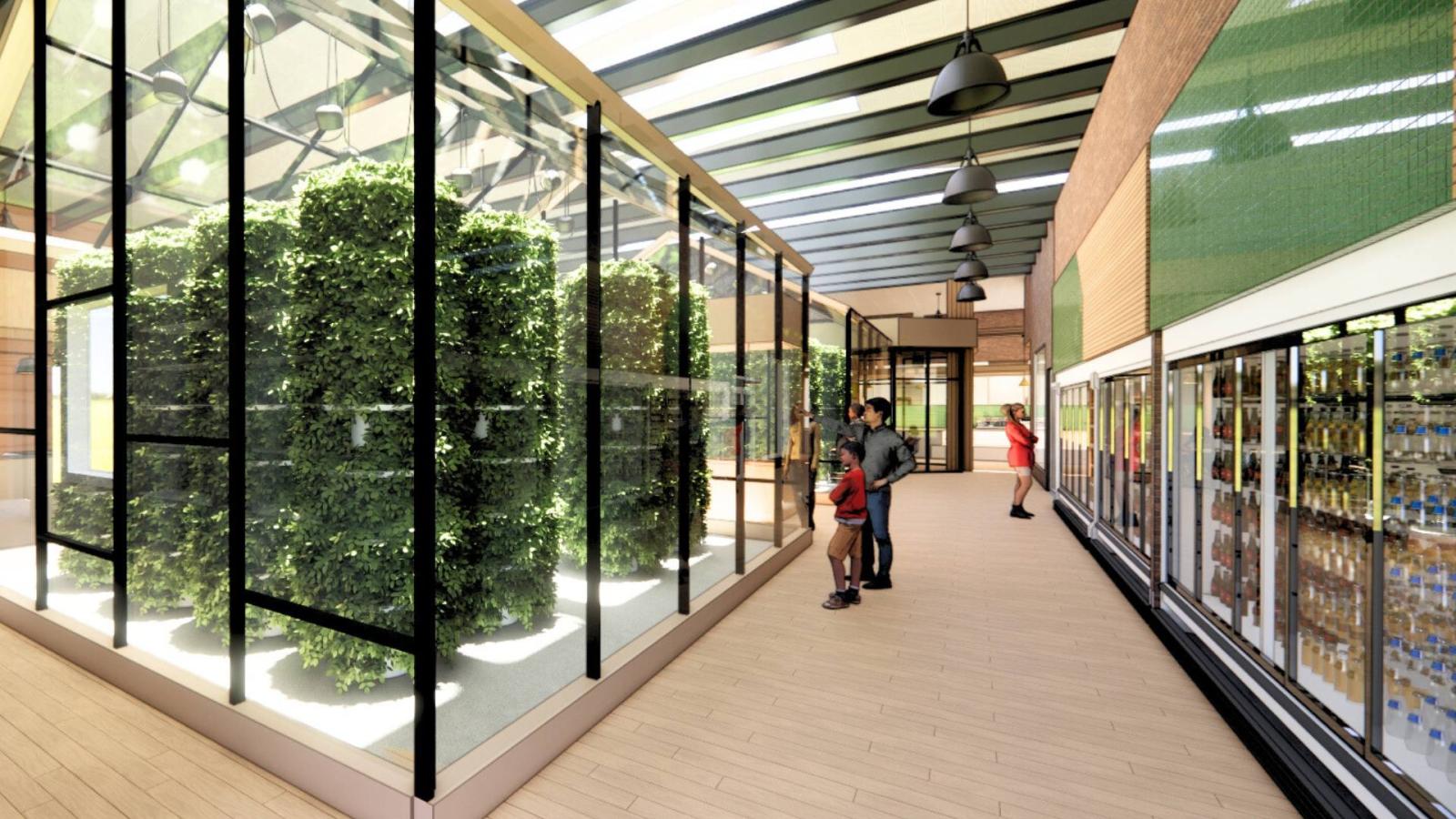 Greenhouse