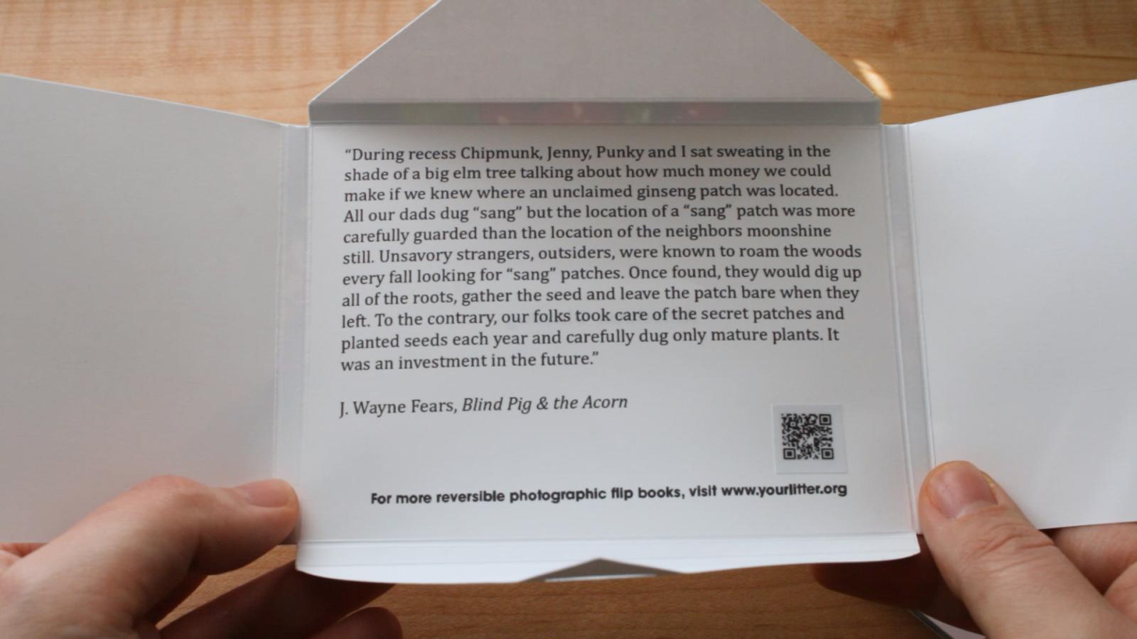 An envelope with the following text printed inside: “During recess Chipmunk, Jenny, Punky and I sat sweating in the shade of a big elm tree talking about how much money we could make if we knew where an unclaimed ginseng patch was located. All our dads dug “sang” but the location of a “sang” patch was more carefully guarded than the location of the neighbor's moonshine still. Unsavory strangers, outsiders, were known to roam the woods every fall looking for “sang” patches. Once found, they would dig up a
