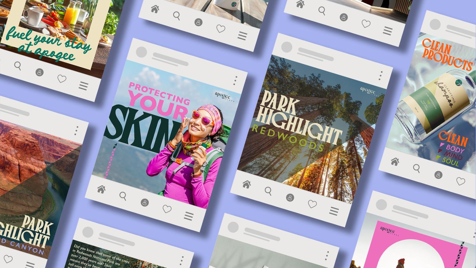 Various social media posts that highlight national parks and provide tips in an aesthetic way 