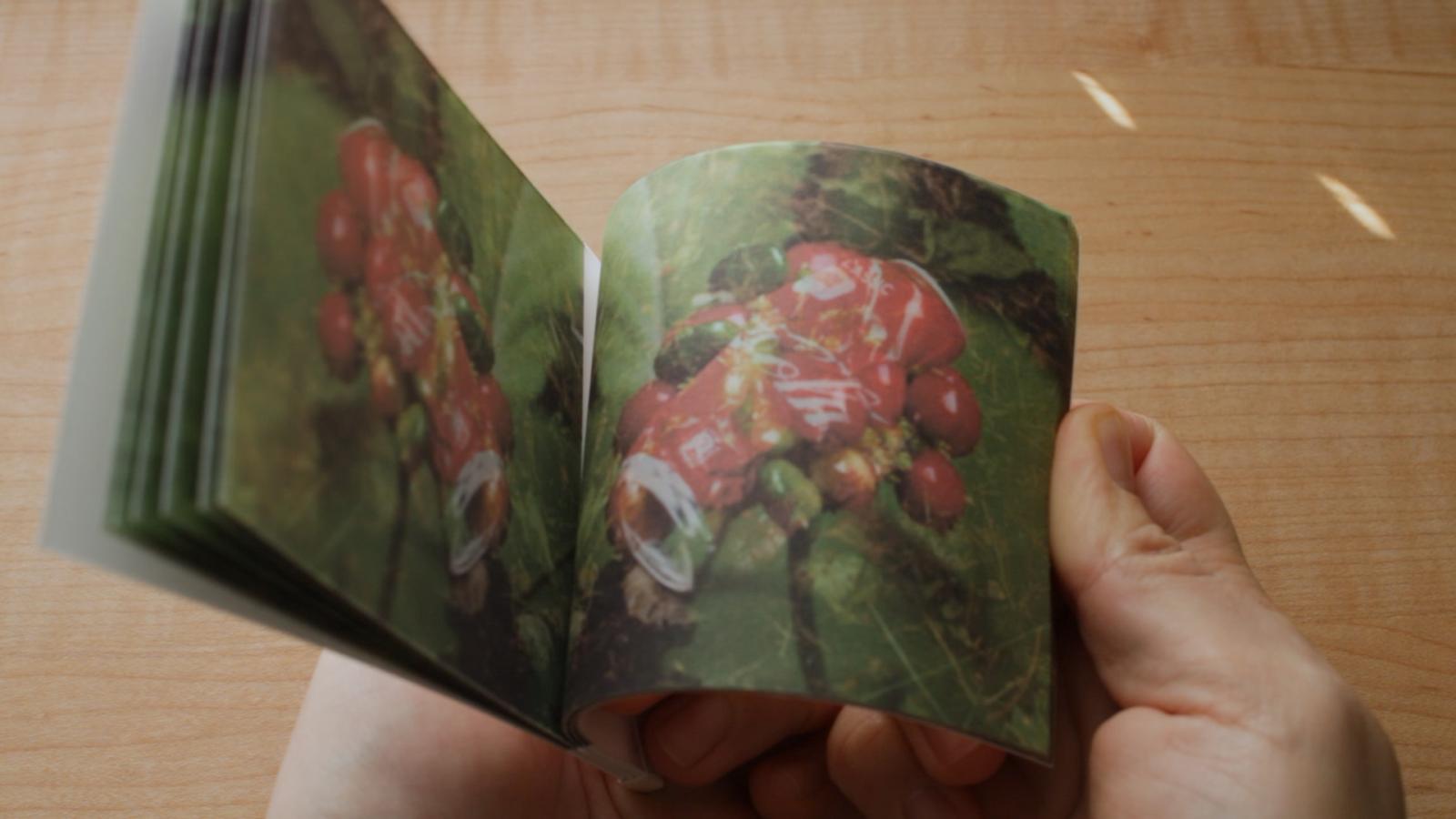 Hands flipping through the pages of the booklet. The flip book photos show an animation where an American ginseng plant morphs into a littered soda can.